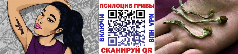 Псилоцибиновые грибы Psilocybine cubensis  blacksprut вход  Кудымкар 