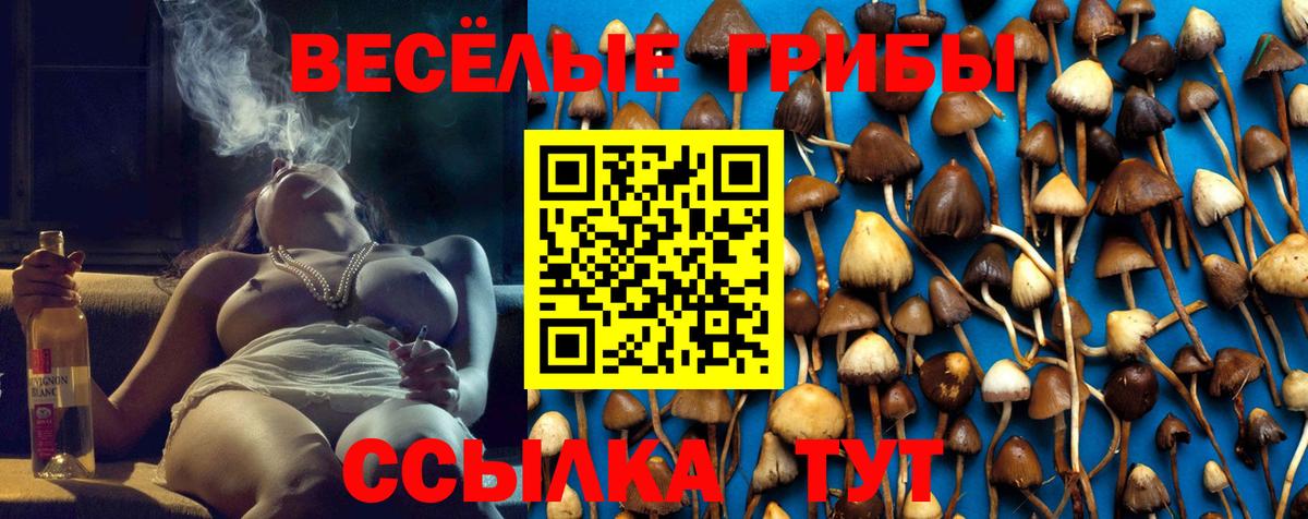 Галлюциногенные грибы Psilocybe  Вход с VPN  Кудымкар  Псилоцибиновые грибы Magic Shrooms 