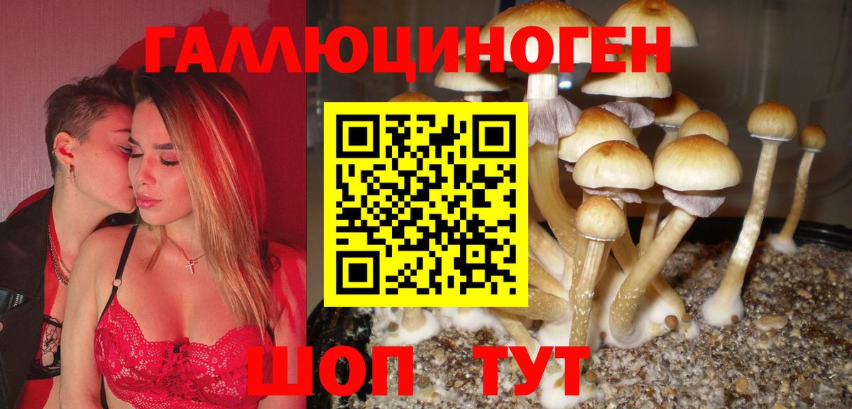 Псилоцибиновые грибы Psilocybe  Кудымкар 