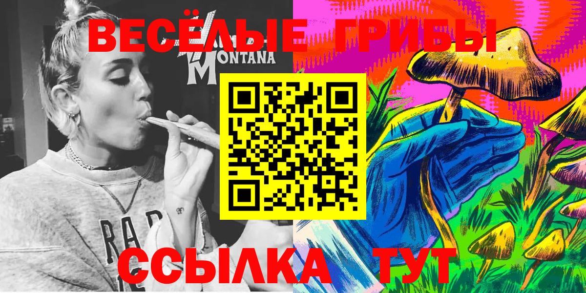 Псилоцибиновые грибы Magic Shrooms Кудымкар